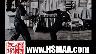 Real Kung Fu Fighting Technique: Oblique 