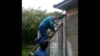 Velho doido