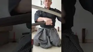 Miyamoto Musashi Iaito from katanamart