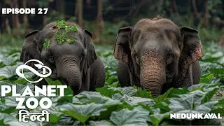 PLANET ZOO हिन्दी | EP 27 - Indian Elephants 2 (Franchise Mode Let's Play)