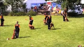 Kastor's Home Demo 2015