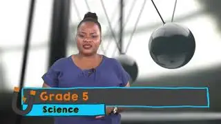 Science - Grade 5: Force