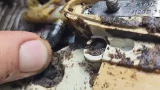 Stihl MS193T - No Start - Teardown