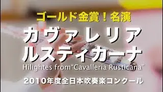 【吹奏楽】歌劇「カヴァレリア・ルスティカーナ」より［北海道旭川商業2010全日本］