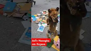 Българска ловна Арт инсталация .#bglov #лов #ловец #смях #забавно#astv#находкиотказана#набитака#bg