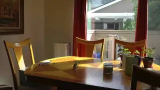 Walkera CB100 Hover with WK-2801 Pro - Beginner Pilot