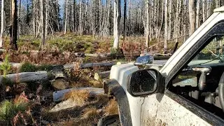 Elk City Wagon Road , Corral Hill Lookout , Pilot Knob Lookout , Baldy Mountain All In One Epic Trip