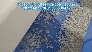 TOPSORT high accuracy 6 chutes rice color sorter