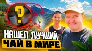 В погоне за ЛУЧШИМ УЛУНОМ в мире. Китай, которого вы не видели. Как заваривают настоящий чай Часть 1