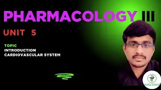 transdermal drug DS