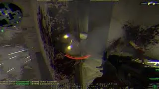 csgo2021