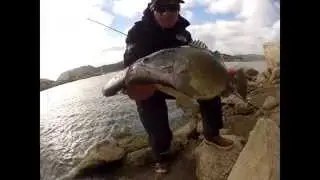 BASSKING DEPS KEVIN MATTSON