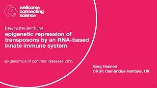 Epigenetic Repression of Transposons by an RNA-based Innate Immune System - Greg Hannon