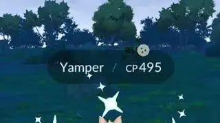 New Unreleased Shiny Yamper || Pok&eacute;mon Go