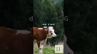 Fun Daily Joke 91 😁🤣😄😁 #AnimalPuns #FarmHumor #Cows #BellsofTheBall #HerdMentality #dadjokes