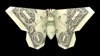 Dollar bill origami BUTTERFLY 