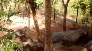 BEST PLACE FOR LOVERS AT WYRA RESERVOIR LOCATED IN KHAMMAM DISTRICT