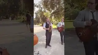 Plombyras - The Schwings ( trio version ) #jazz #swing #music #vintage #musician #blues #saxophone