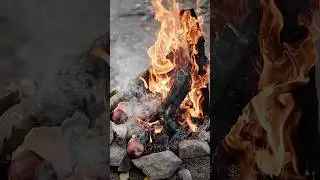 #serpensdraco #sєrpєnsdr&alpha;c&sigma; #оккультизм #occultism #эзотерика #esoterica #magic #ритуал #ritualmagic