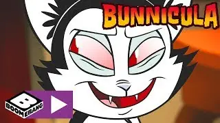 Bunnicula | Bunnicula wird zur Katze | Cartoonito
