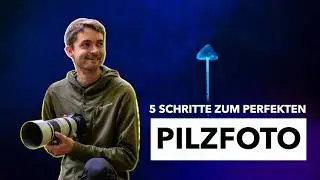 PILZE fotografieren | So werden deine Bilder magisch ✨