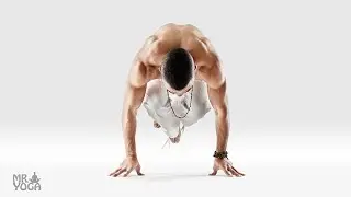 2100 Asanas Book Review - Mr. Yoga - Daniel Lacerda - Balance Poses Part 1