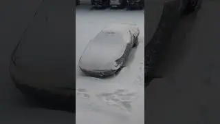 #snowmageddon #texas  #2021 #snow #winter