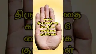 6 Love Palmistry Sign #short #astrology #palmistry #ttamiltechnology #prediction