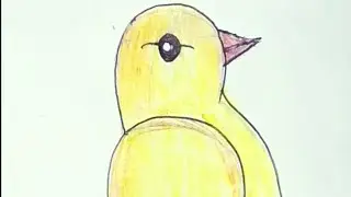 How to draw a yellow bird