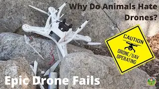 Ultimate DRONE Epic Fail Compilation!!! 🤣