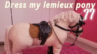 Dress my #lemieuxtoypony with me II #vlog #horse #lemieux