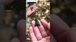SCORE! 💥 Arrow head spotted in a creek 📍 NC #foraging #artifacts #nature