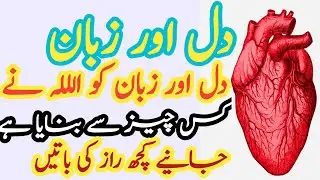 Motivational quotes about life/best Urdu gateway/@aman86wzry/Islamic quotes/two lines urduquotes