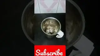 dairymilk chocolate milk shake#ytshorts #shortvideo #cakes #trending #viral #food #milkshakelovers