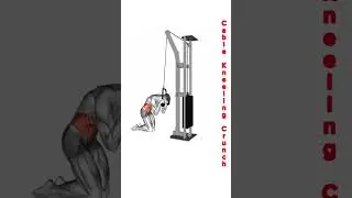 &ldquo;This Cable Crunch BUILDS Real Six Pack 🔥 Ab Killer&rdquo; #workout #absworkout