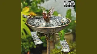 Bird Bath