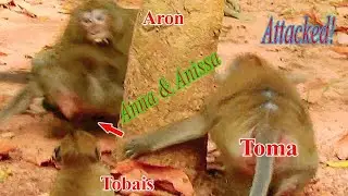 Full action Crazy King Aron Attacked baby Anissa & Mom Anna!