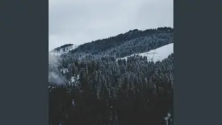 Middle Eastern Sounds