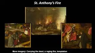 Microbiology series part 1 St. Anthony's Fire