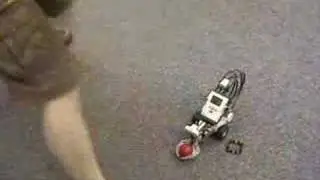 ChickenBot
