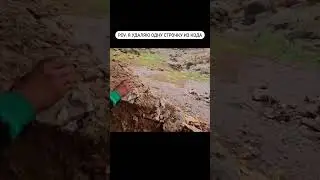 #работа #юмор #удаленнаяработа #айти #IT #программист