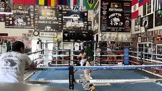 J.3w / James Wilson boxing sparring #j.3w#boxing #combatsport #gym 