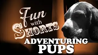 Fun With Shorts: Adventuring Pups
