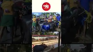 Rama-Lakshmana Jodukere Kambala: Mangaluru&rsquo;s Historic Buffalo Race Festival