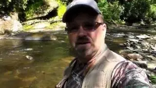 Chattooga River Trail:  Hiking and Trout Fishing Burrells Ford