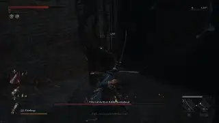 Lies of P_bunny 2
