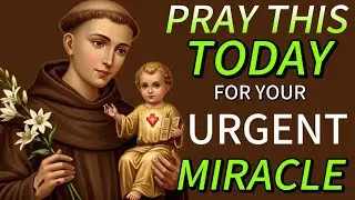 POWERFUL URGENT PRAYER OF IMPOSSIBILITIES: THROUGH ST ANTHONY OF PADUA AND SAINT CARLO ACUTIS.