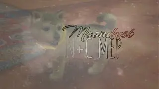Moondust ✦ N+C Official MEP