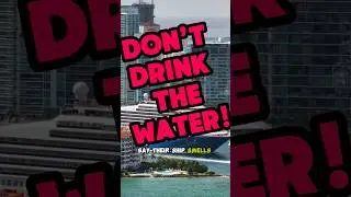 Пассажиры круизного лайнера оказались в ловушке из-за загрязненной воды!