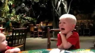 Rainforest Cafe